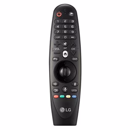 LG Magic Remote